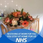 Sandra Bain - @bain5269 - Instagram