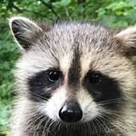 Sandra Bain Smith - @afarsider1 - Instagram