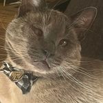 Sandra Baines - @carameltyger - Instagram