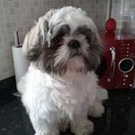 Sandra Baines - @sandrabaines601 - Instagram