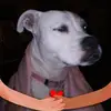Sandra Baines - @sandra.baines - TikTok