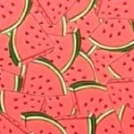 Sandra Bakken Vefferstad - @bamserlove1234 - Instagram