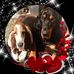 Sandra Balas - Facebook