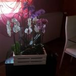 Sandra Baldini - @sandra.baldini.121 - Instagram
