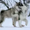 Sandra Baldus - @sandrabaldus - TikTok