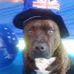 Sandra Baldwin - Facebook