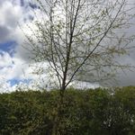 Sandra Ballantyne - @sandra.jane.77 - Instagram