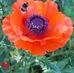 Sandra Ballantyne - Facebook