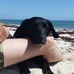 Sandra Baltes - @sandrabaltes - Instagram