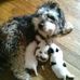 Sandra Banos - Facebook