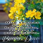 Sandra Baños - @papacito2541 - Instagram
