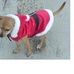 Sandra Barbarino - Facebook