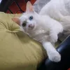 Sandra Barreto - @sandra.barreto16 - TikTok