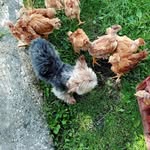 Sandra Barbey - @sandra.barbey.7 - Instagram