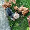 Sandra Barbey - @sandra.barbey - TikTok