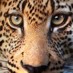 Sandra Barca - @sandra72barca - Instagram
