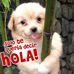 Sandra Bardon - Facebook