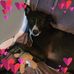 Sandra T Bardsley - Facebook