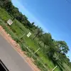 sandra.barley - @sandra.barley - TikTok