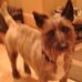 Sandra Barney - Facebook