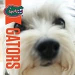 Sandy Barnhart - @sandyb4gators - Instagram