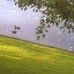 Saundra Barringer - Facebook