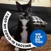 Sandra Barrington - Facebook