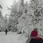 Sandra Barrow - @ororkechoiri2 - Instagram