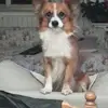 sandrabartaletti - @sandrabartaletti - TikTok