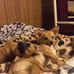 Sandra Bartel - Facebook