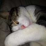 Sandra Bartel Stamfort - @bartelstamfort - Instagram