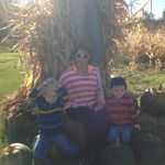 Sandra Barter - @sandybeachnl - Instagram
