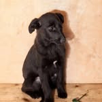 Sandra Barthel - @san.drabarthel - Instagram