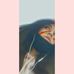 Sandra Bartkowiak - Facebook