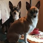 Sandra Bartley - @bartley7998 - Instagram