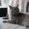 Margareta - @sandra_bartnik - TikTok