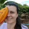 Mudas de Cacau Andurá- Sandra - @sandra.bartnik - TikTok