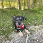Sandra Bartnik - Facebook