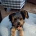 Sandra Baskett - Facebook