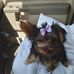Sandra Baskett - Facebook