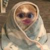 Sandra - @sandra_basketball - TikTok