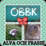 sandra.E.Basket - @sandra.e03.se - Instagram