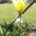 Sandra Basso - Facebook