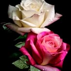 Sandra Basurto - Facebook