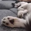 Sandra Basurto - @sandrabasurto2 - TikTok