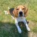 Sandra Batchelor - Facebook