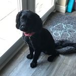 Sandra Batchelor - @batchelor9018 - Instagram