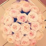 iva - @sandra_batt - Instagram