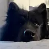 Sandra Batt - @sandrabatt - TikTok