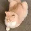 Sandra Battle - @sandra.battle - TikTok
